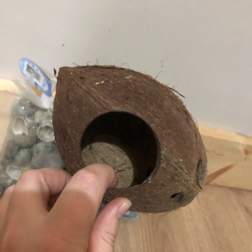 Hermit Crab Bundle - Picture 4 of 6